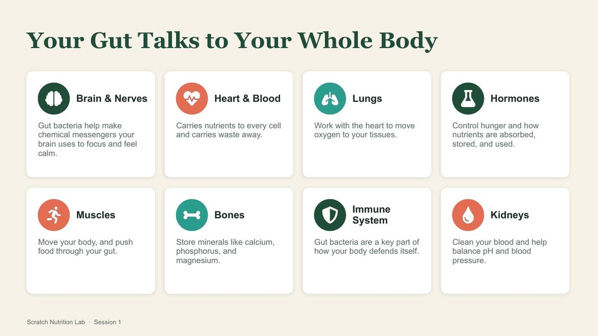 Your gut talks to your whole body